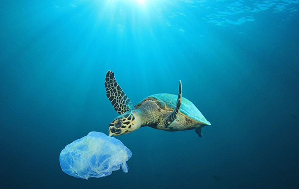 ガラスストロー・サステナビリティ